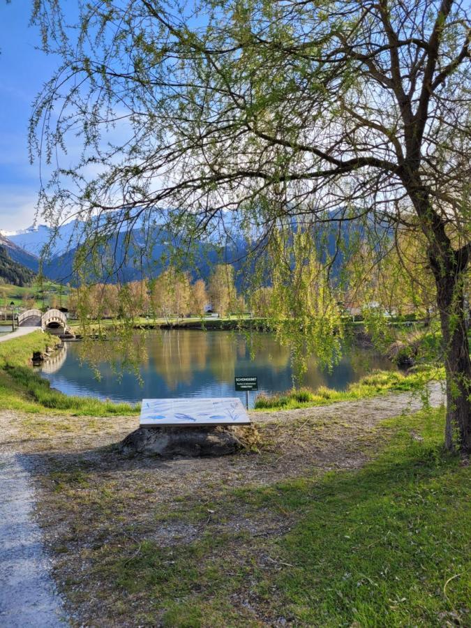 Profelt'S Apartments Uttendorf - Steinbock Lodges エクステリア 写真